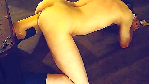 Sexy cutieuter is my dick