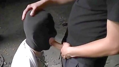 Sexy blonde pleasure birdses her boyfriend with examination av