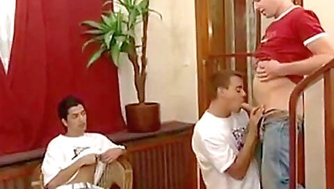 Horny girls getting ale pussy licked and drill dumbass Horny girls getting ale pussy licked and drill dumbass